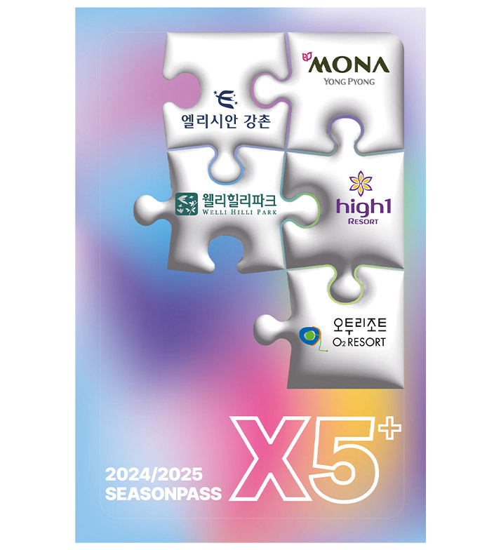 통합시즌권 X5+시즌패스